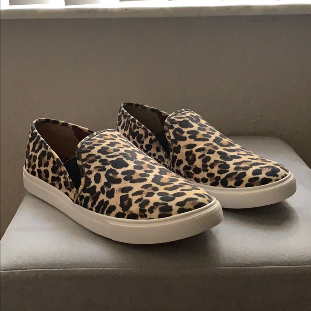 Steve Madden Leopard Sneakers